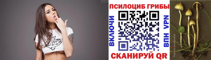 blacksprut вход наркотики Анадырь Галлюциногенные грибы Magic Shrooms